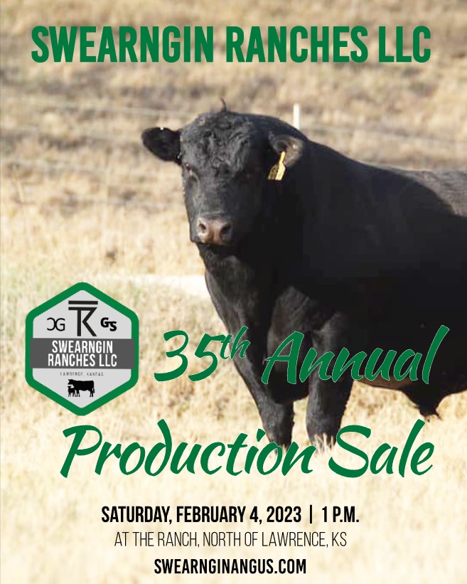 swearngin-ranches-35th-annual-production-sale