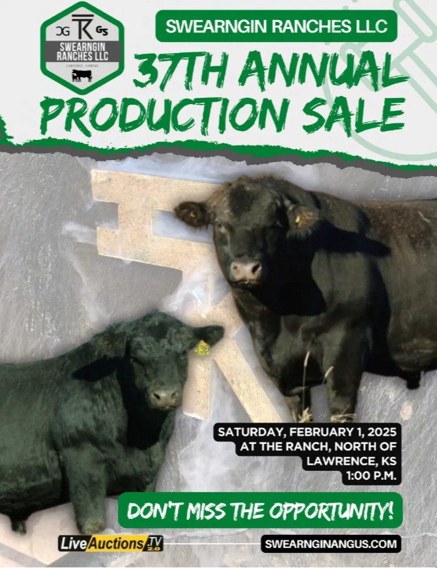 Swearngin angus 37th annual sale