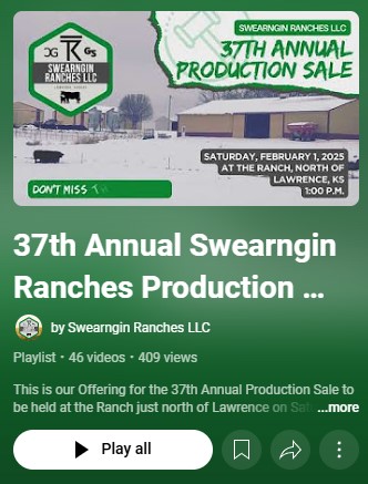 Swearngin Ranches 37th Annual Production Sale