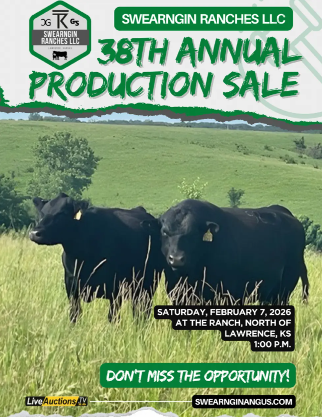 Swearngin Angus 38th Annual Production Sale